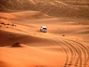 Oman : Wahiba Sands