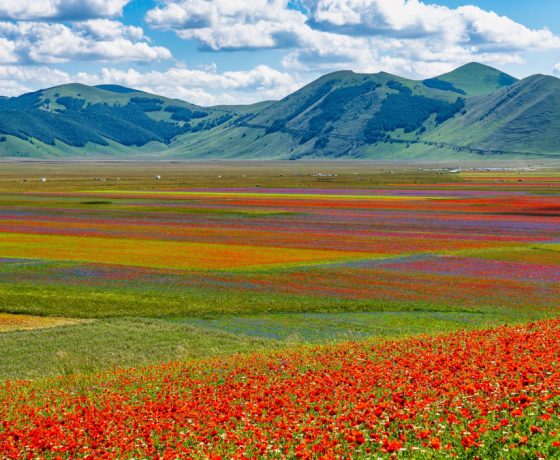 CASTELLUCCIO DI NORCIA – TRANSIBERIANA D’ITALIA