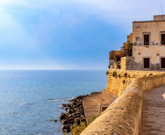 PUGLIA BAROCCA, MESSAPICA E RUPESTRE