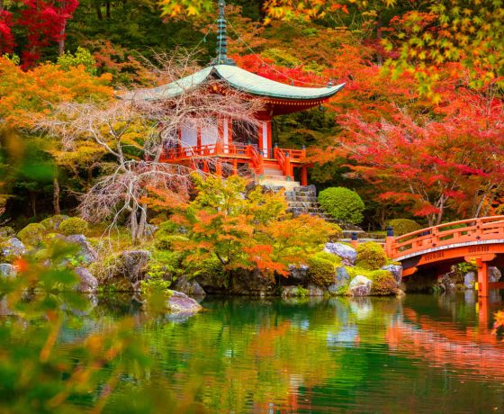 SFUMATURE D’AUTUNNO IN GIAPPONE