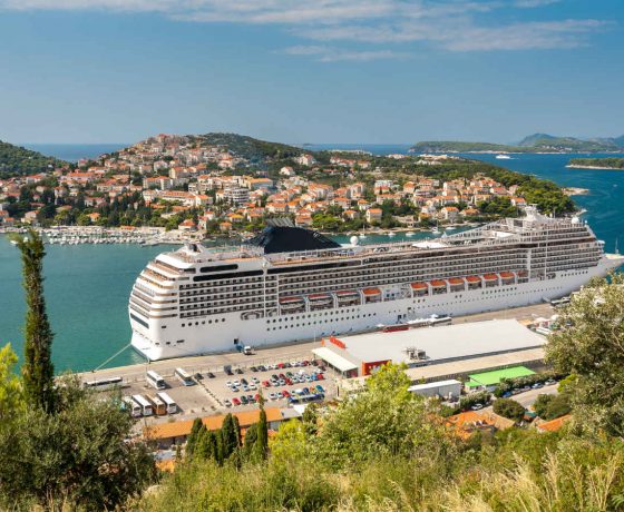 MINI CROCIERA MSC FANTASIA