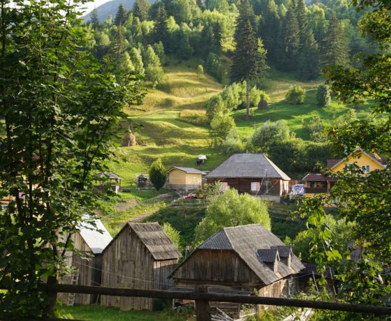 ROMANIA DEL NORD E BUCOVINA