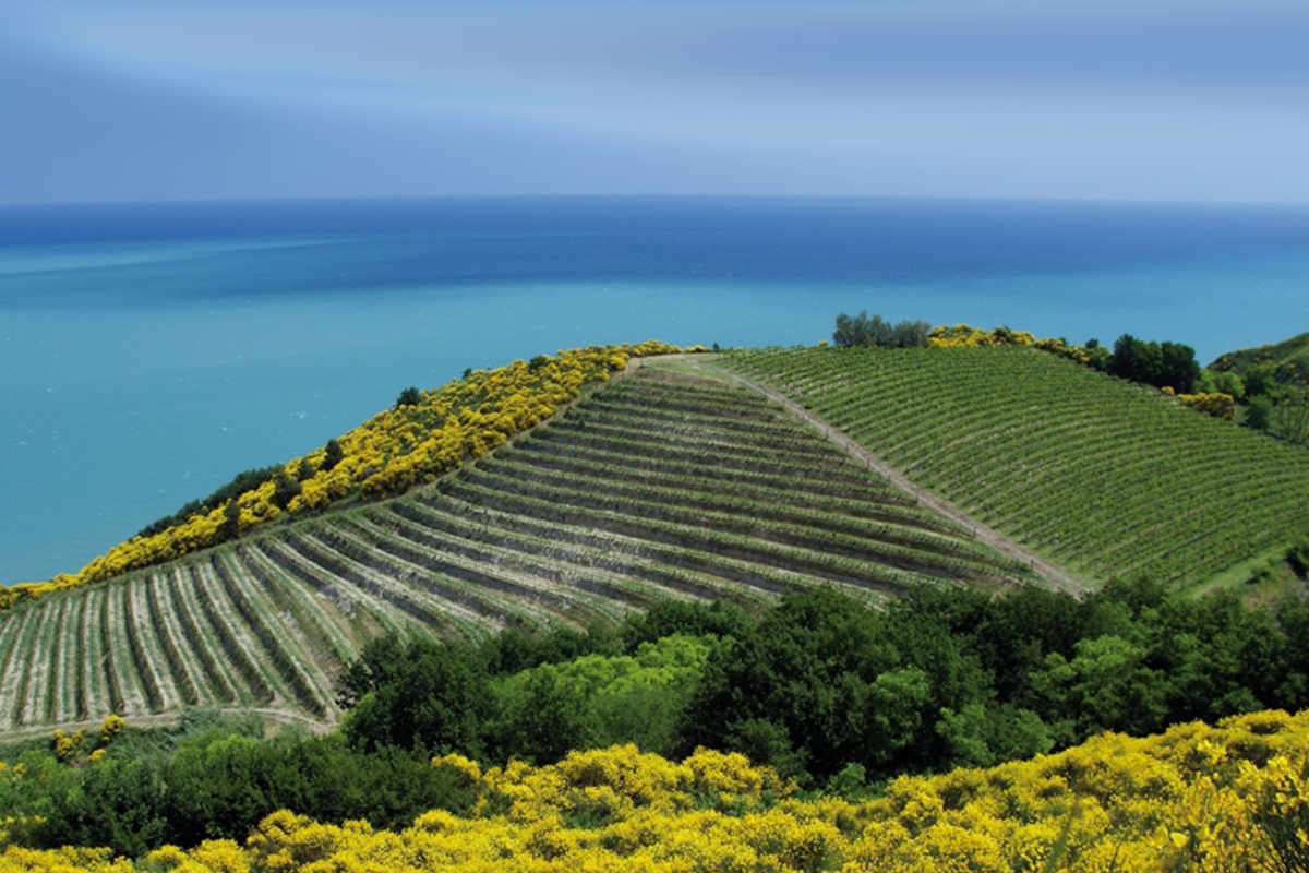 San Bartolo, https://www.cattolica.info/itinerari/entroterra/parco-san-bartolo/