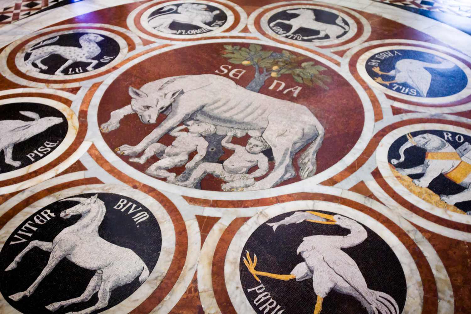 SIENA E VAL DORCIA (4)