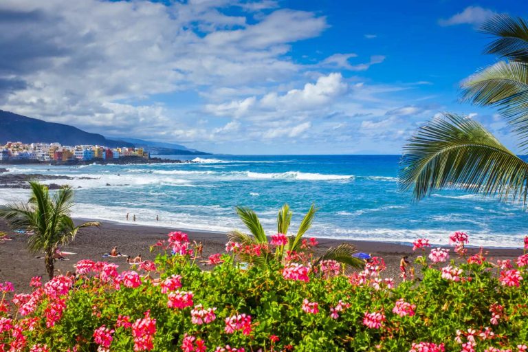 CANARIE E MADEIRA (2)