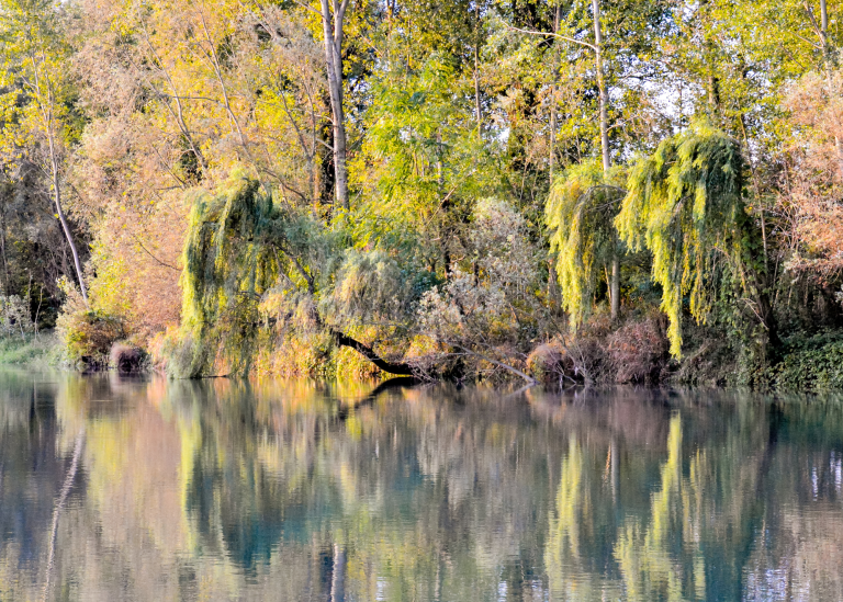 VILLE VENETE (1)
